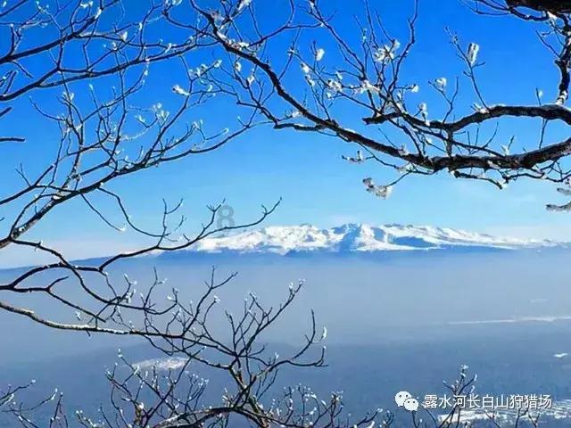 沪江开心词场