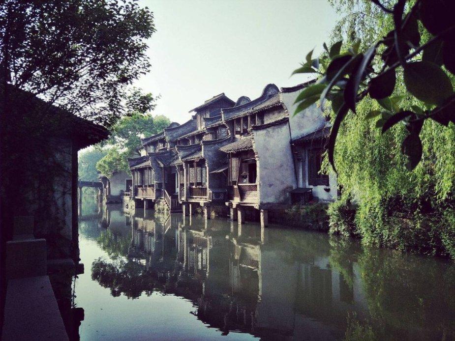 动物帮帮忙保卫家园
